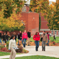 Q&A: Why do people downplay higher education?